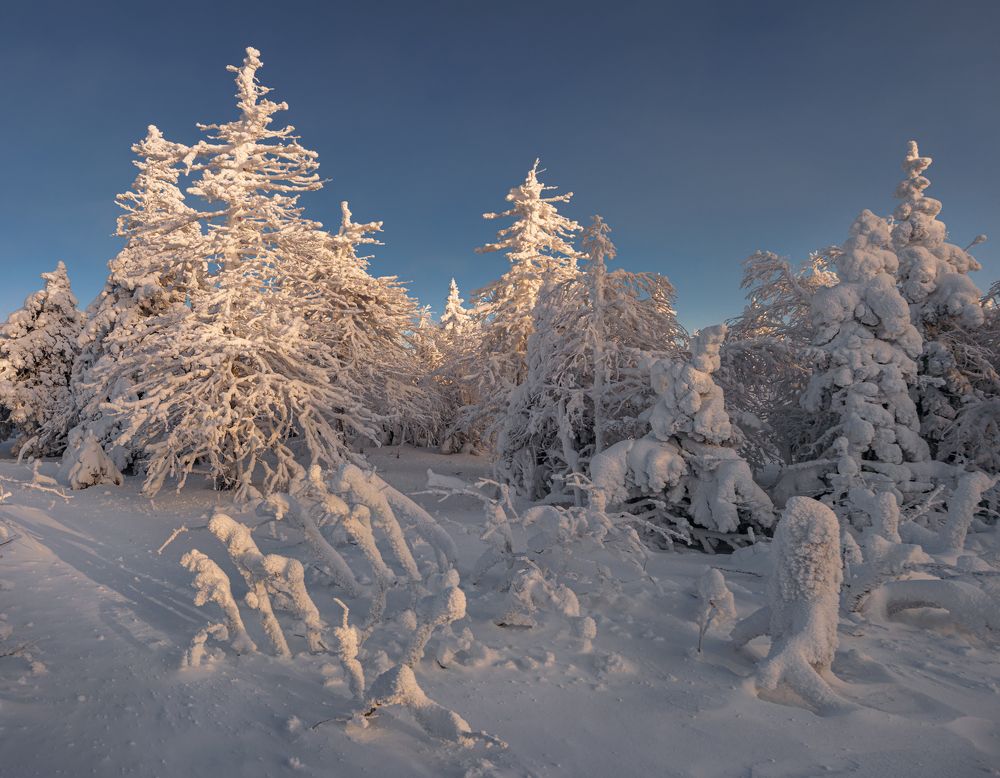 Photograph by Евгений Гецев