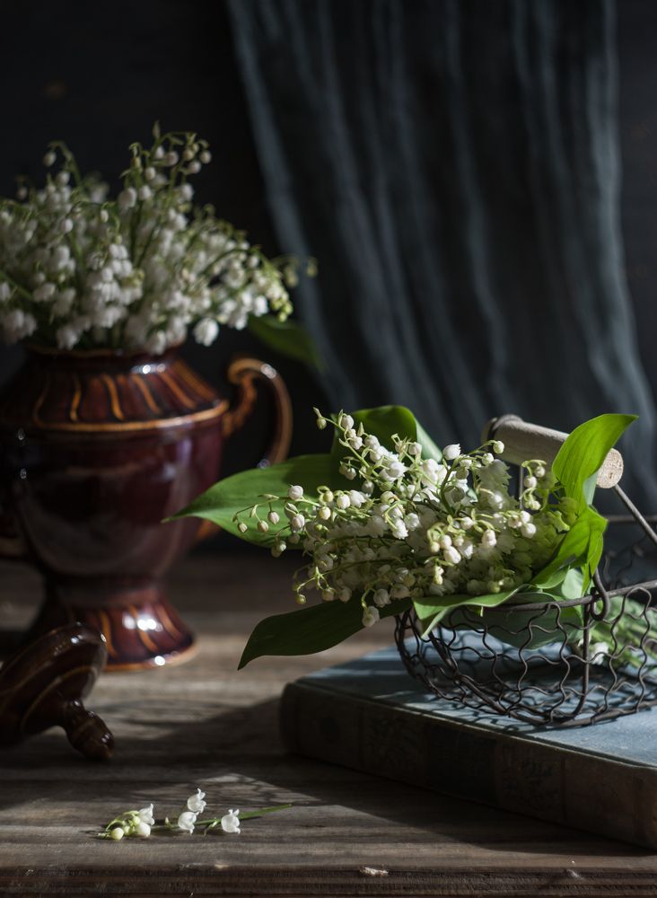 Photograph by Валентина Кананина