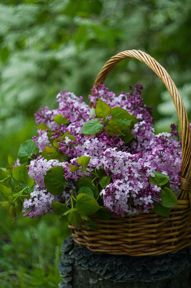 Photograph by Валентина Кананина