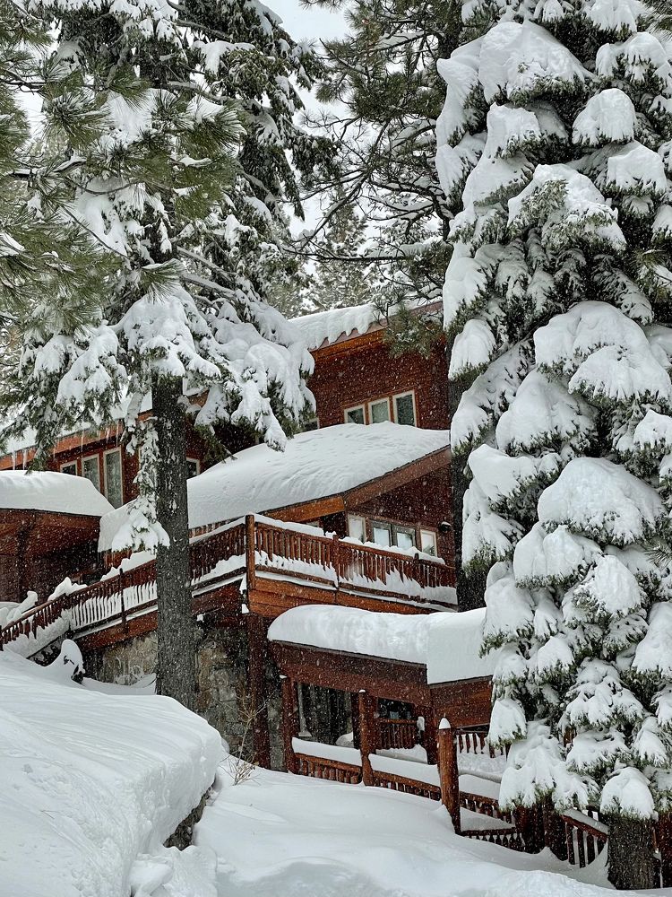 Photograph by Evgenia