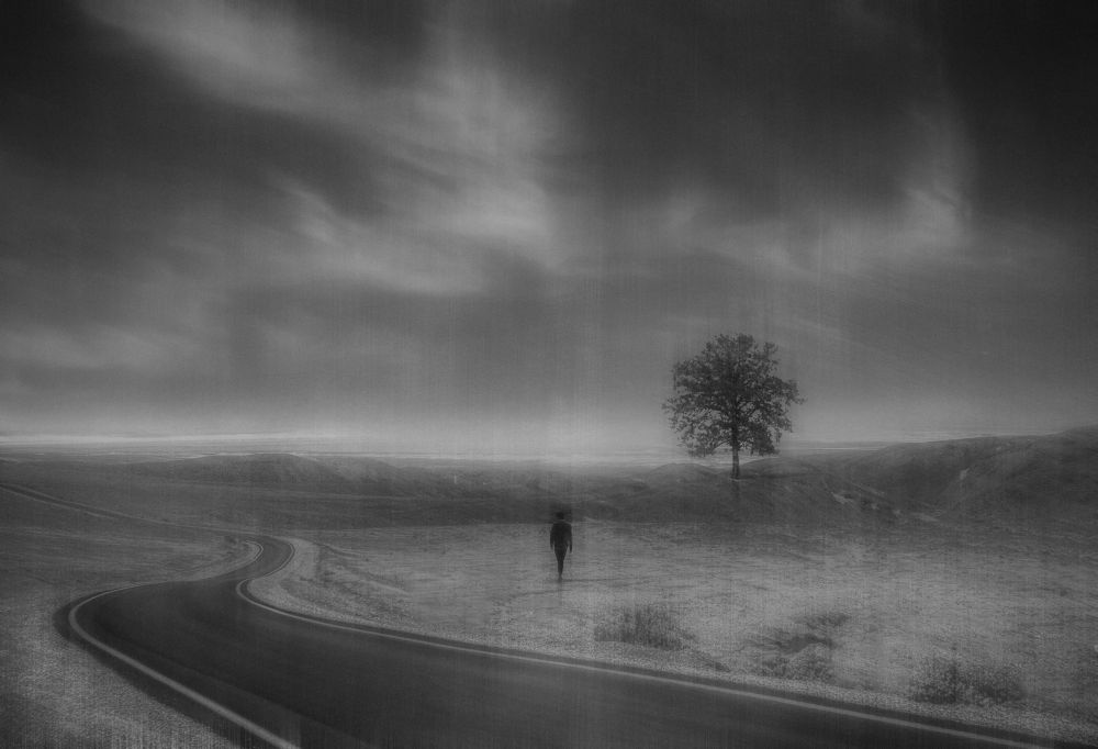 Photograph by syavesh Nikomanesh