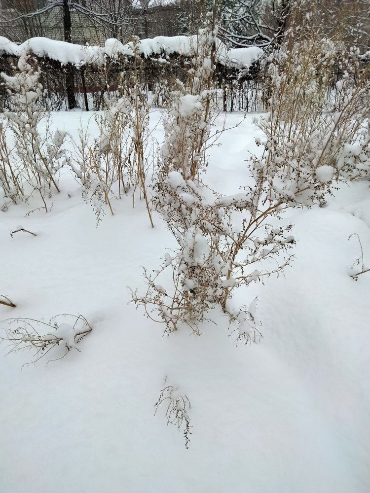 Photo #7067470