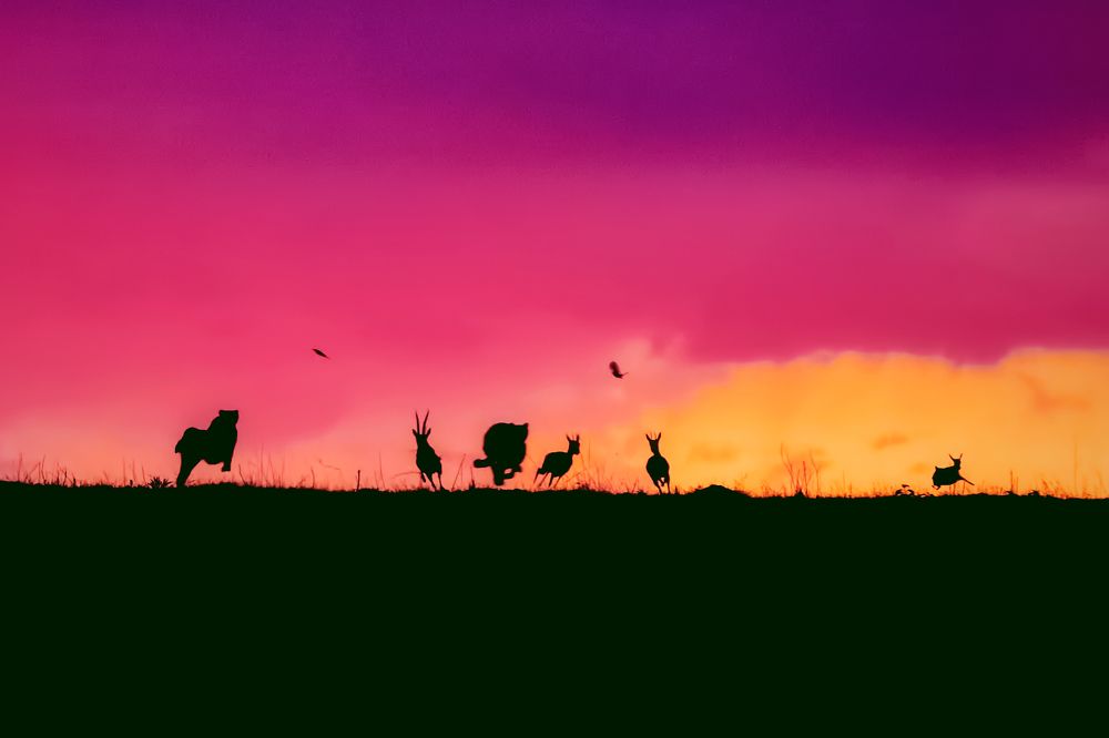 Фотография автора Dr.Hitesh Patel