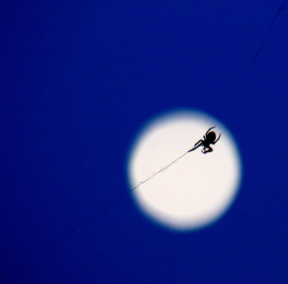 Photograph by Юрий Варюхин