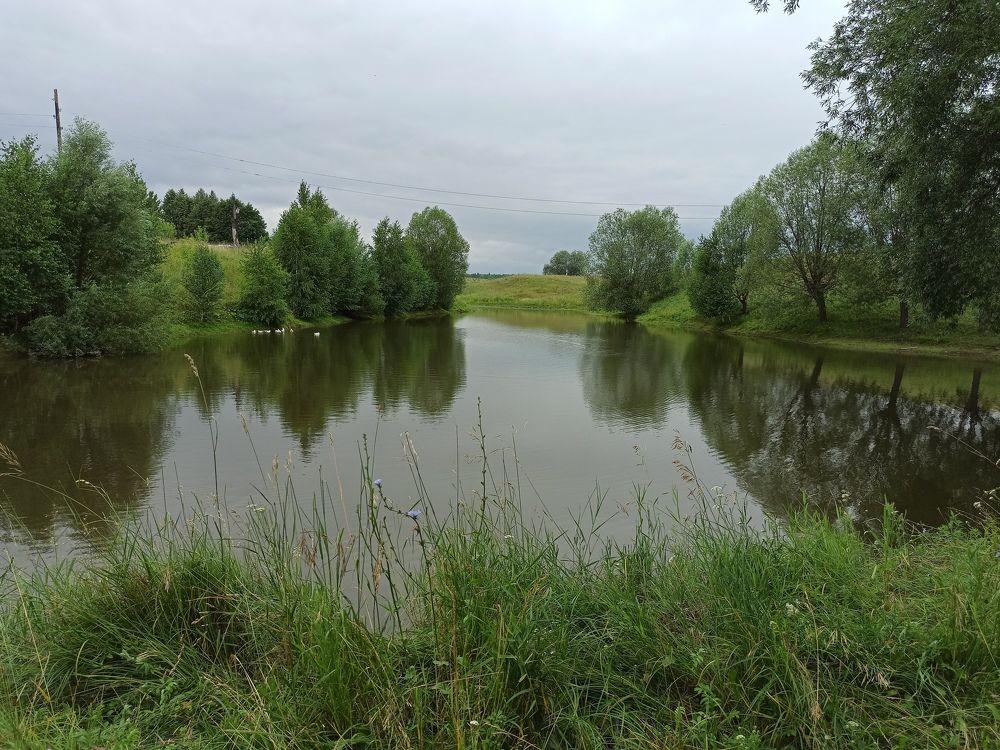 Photograph by Наталия Степанова