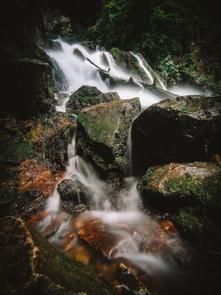 Фотография автора OXANA MARSOVA