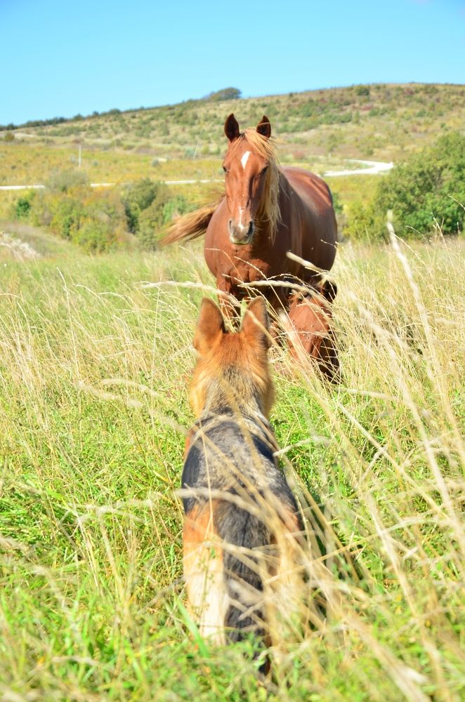 Photograph by Константин Цвентух