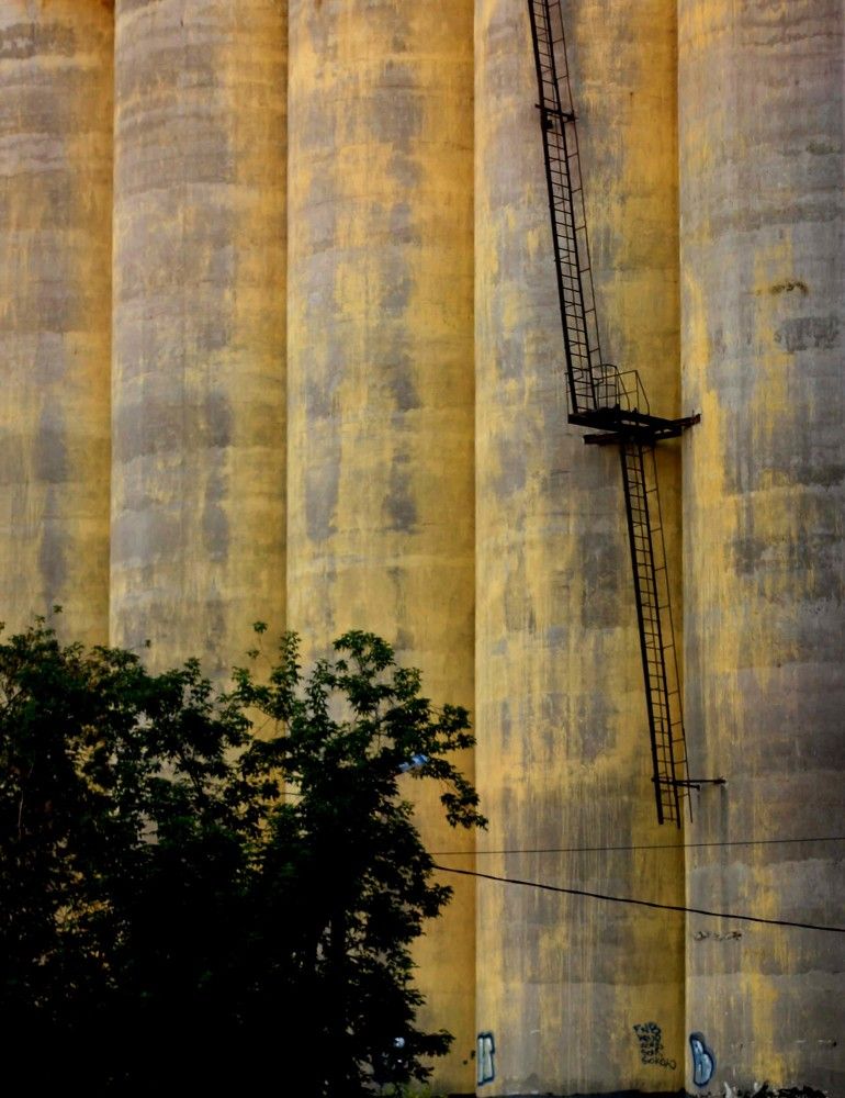 Photograph by Наталья Сазонова