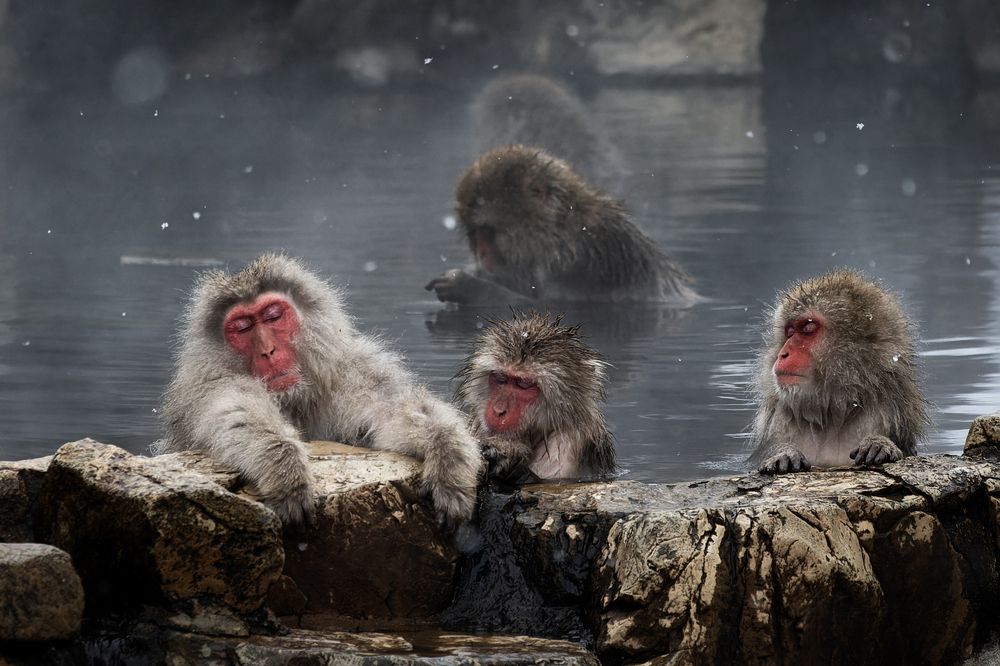 Good time in the hot spring