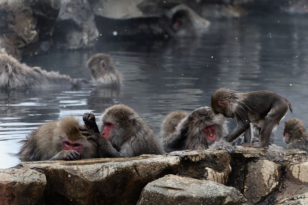 A peaceful time of hot spring