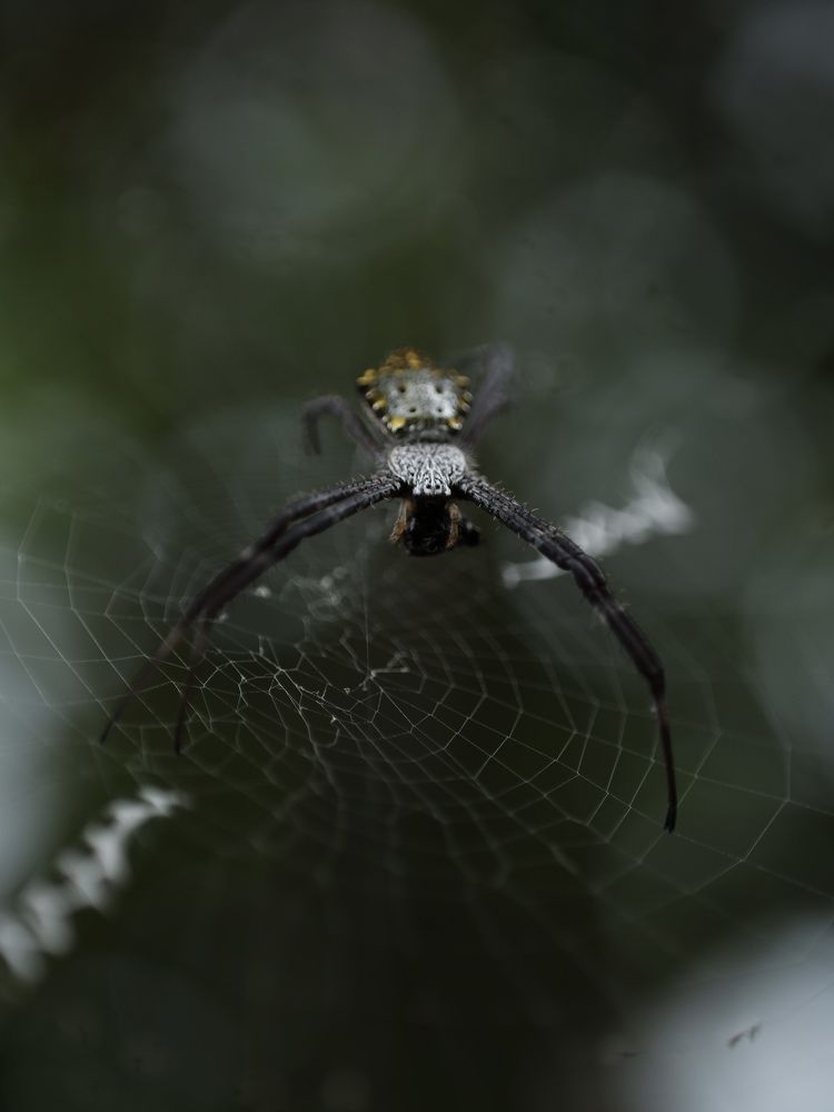 Фотография автора R.Zai