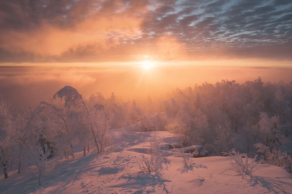 Photograph by Чиж Андрей