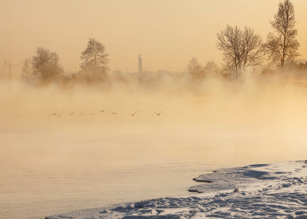 Photograph by Денис Дорошенко