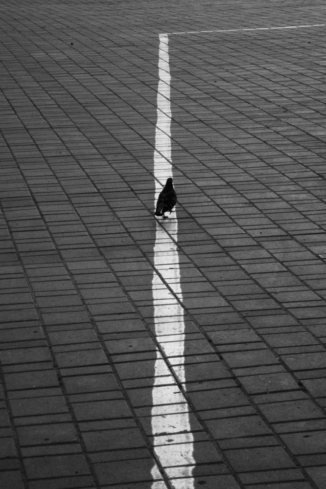 Photograph by Михаил Мостовой