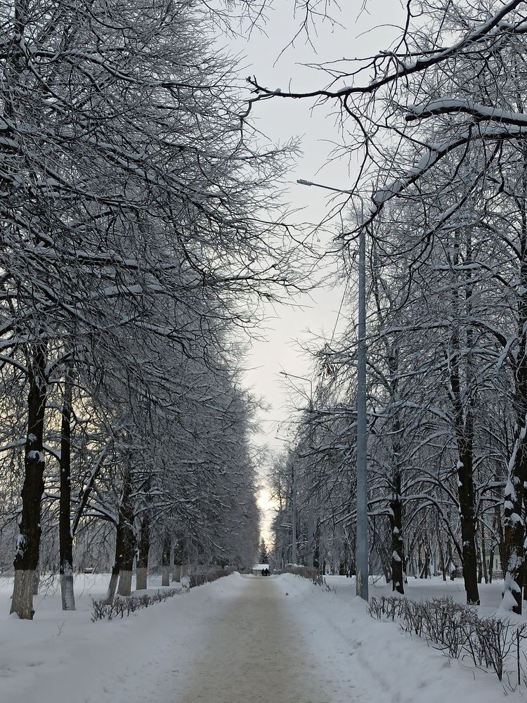 Photograph by Наталия Степанова