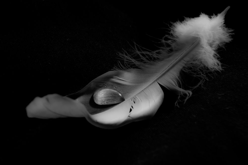 Капля на пере