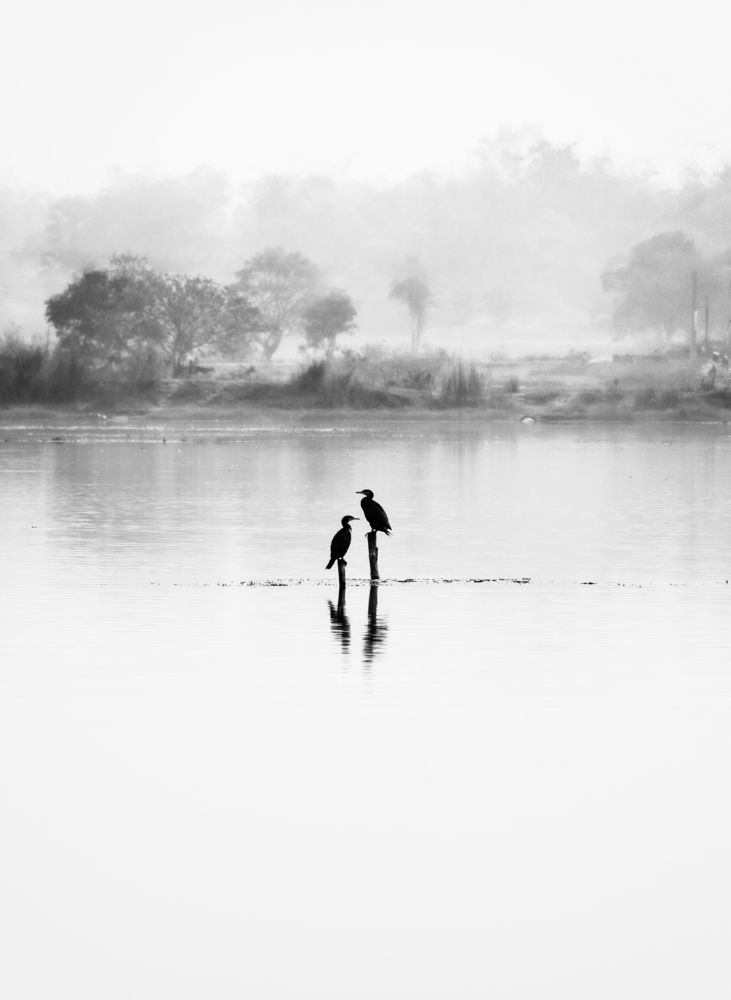 Photograph by Bondhu Dey