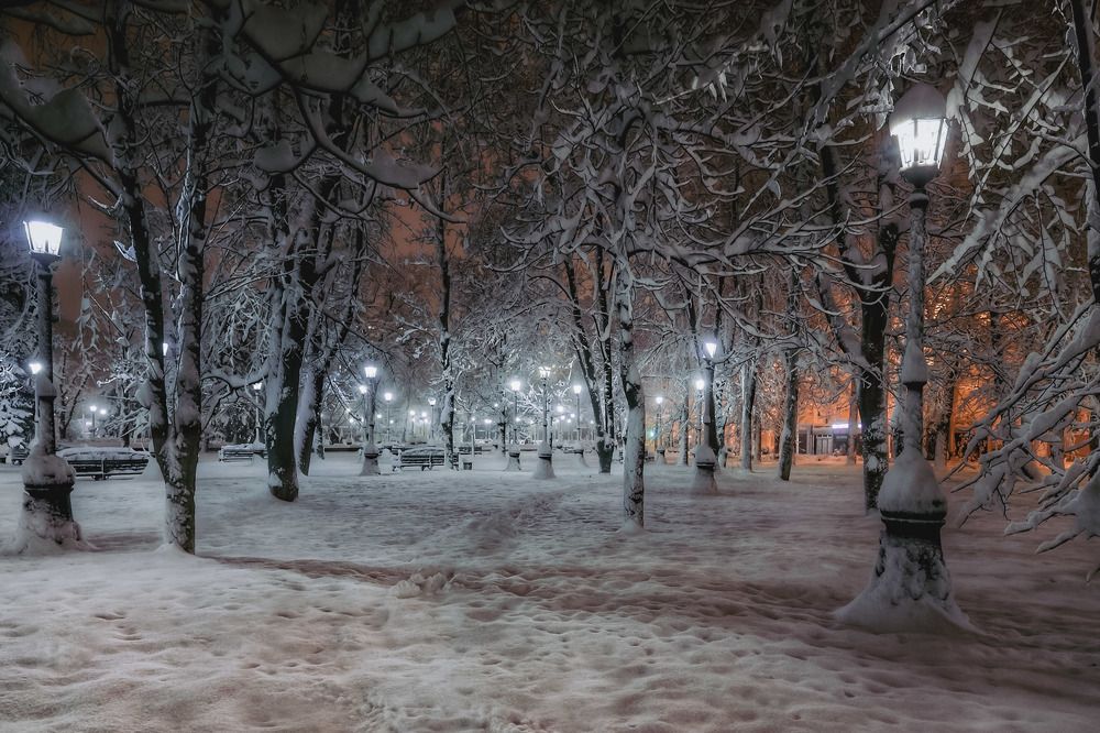 Photograph by Владимир Кульбит