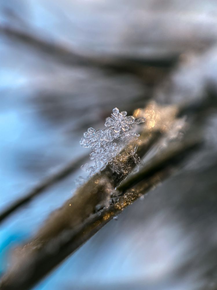 Photograph by Maria Kurakhtanova