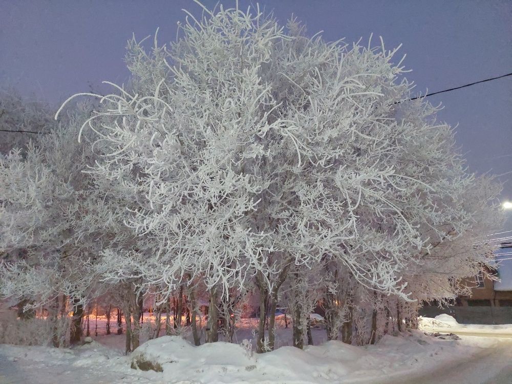 Photograph by Андрей Юденков