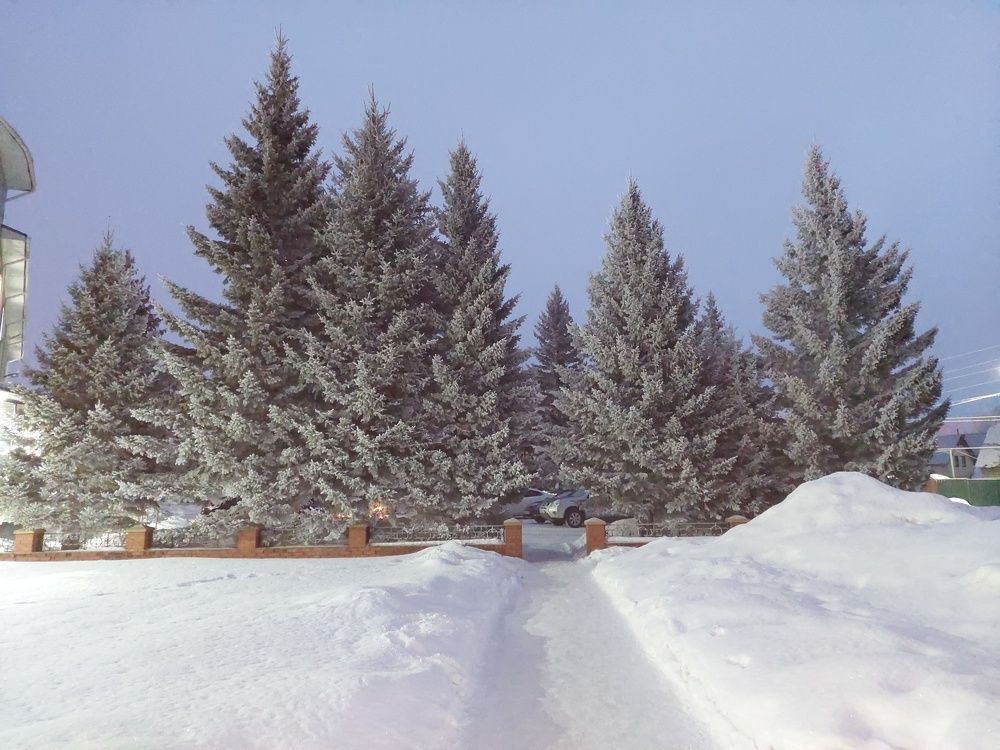 Photograph by Андрей Юденков