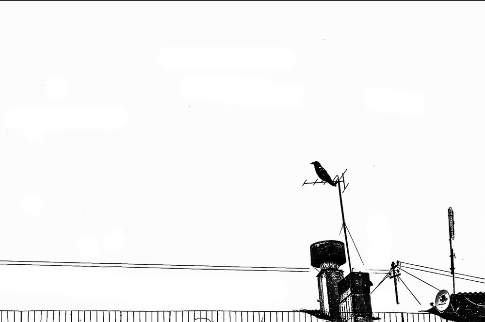 Чёрный ворон