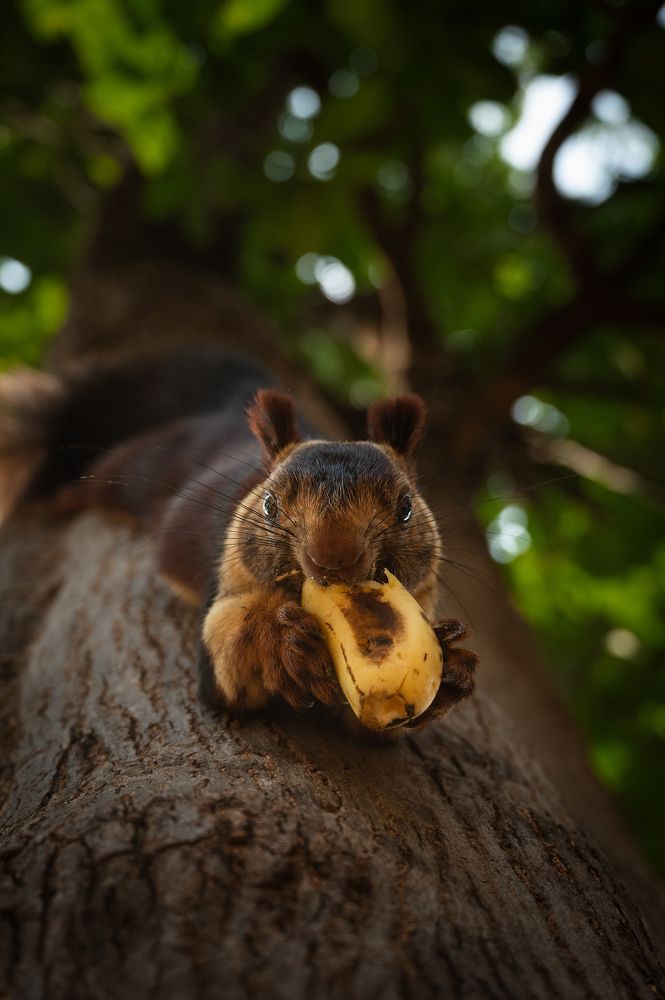 Photograph by Sarosh Lodhi