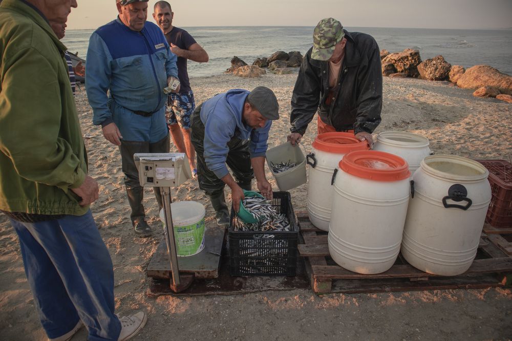 Photograph by Марина Куценко