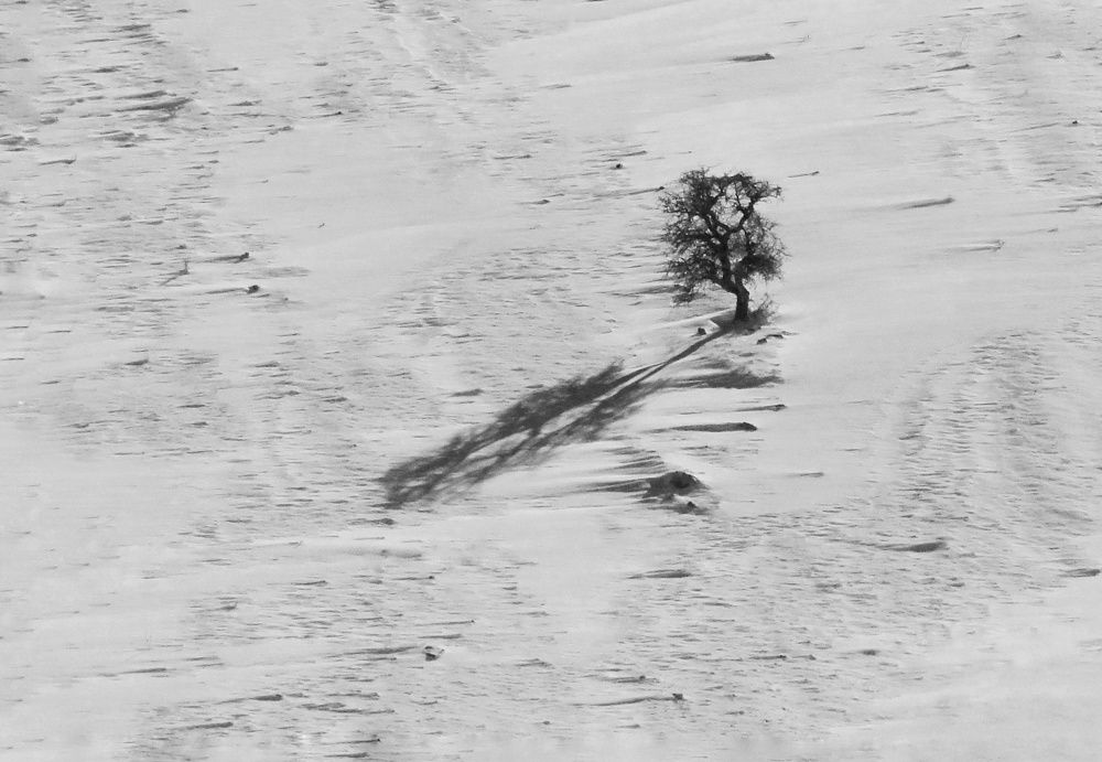 Photograph by Khosro Sayadi