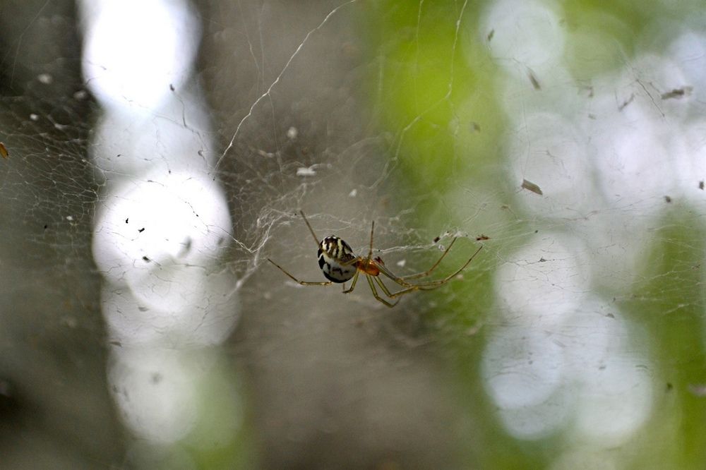 Photograph by Михаил Курзанцев