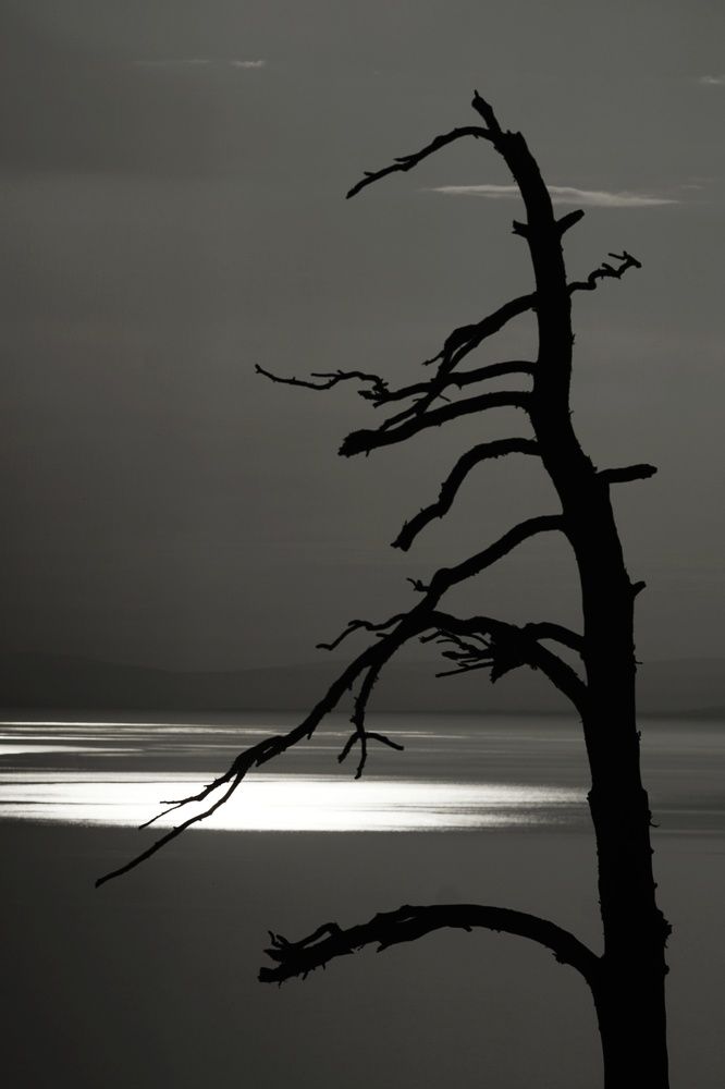 Страж озера