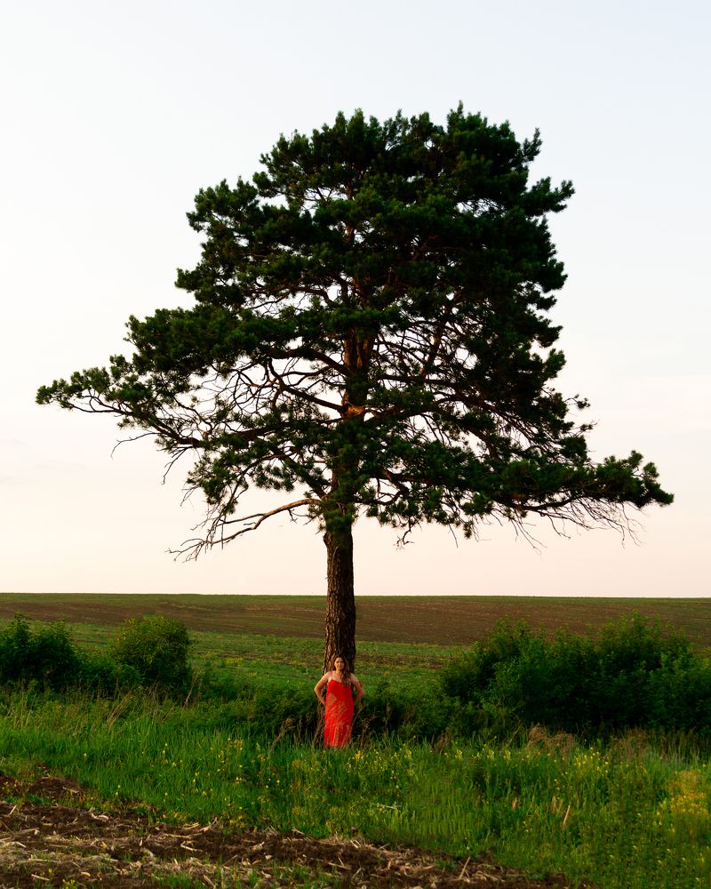 Photograph by Анастасия Фёдорова