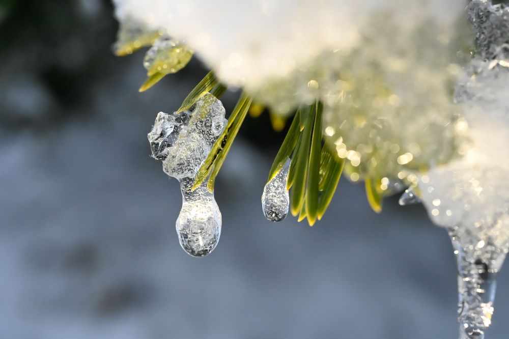 Photograph by Anastasia Uraeva