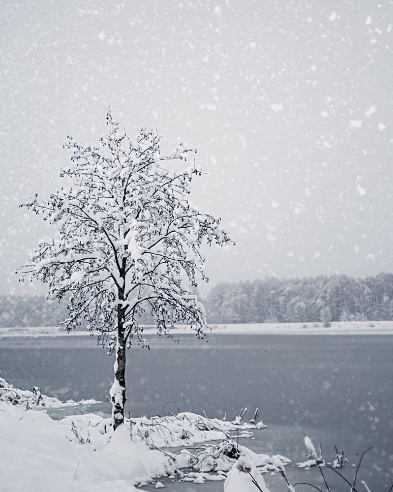 Фотография автора Мария Суходолец