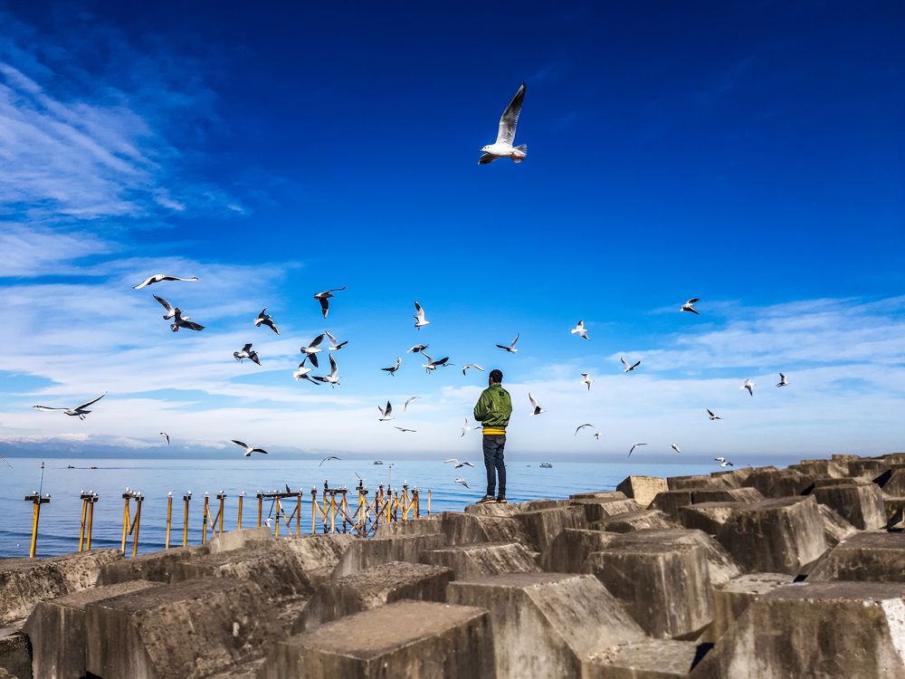 Photograph by Ramin Famildoost