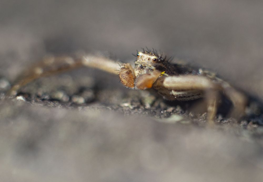 Photograph by Ruslan Maiborodin