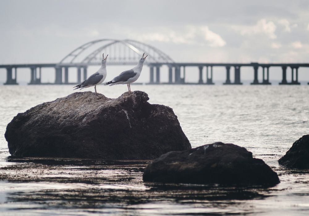 Photograph by Анатолий Щербак