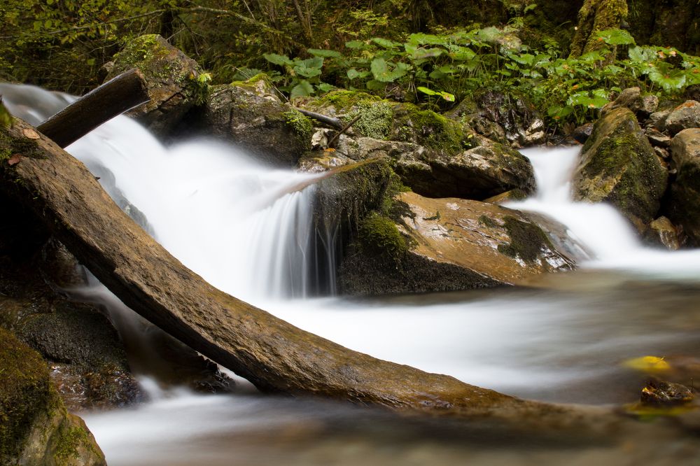 Фотография автора Андрій Лучишин