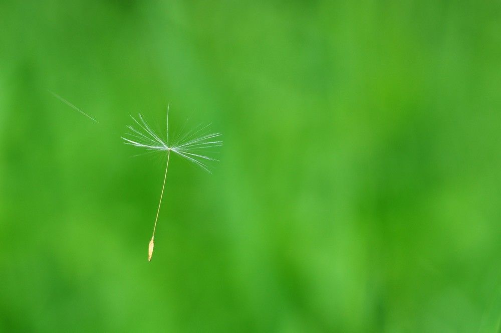 Photograph by Юрий Яковлев