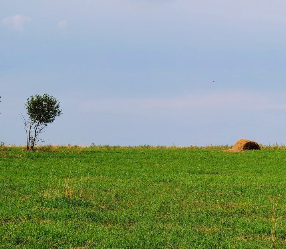 Photograph by Олика