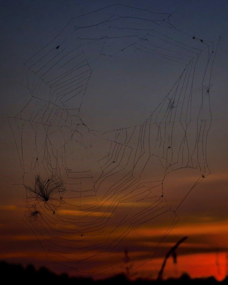 Photograph by Олика