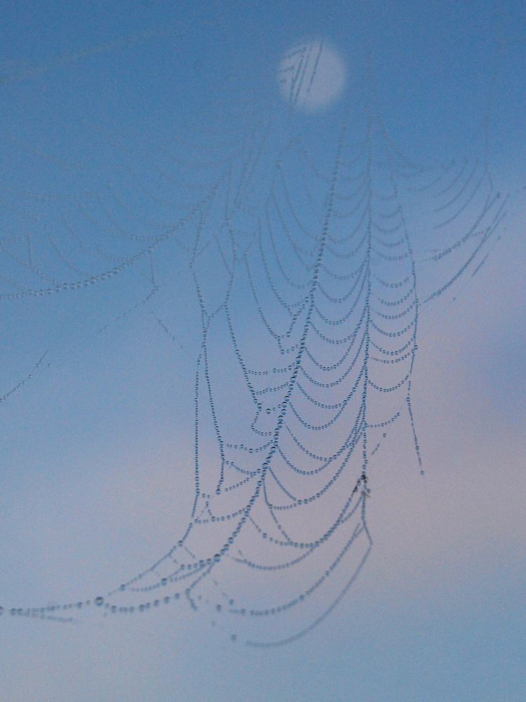 Photograph by Майя Синичкина