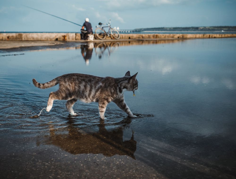 Photograph by Анатолий Щербак