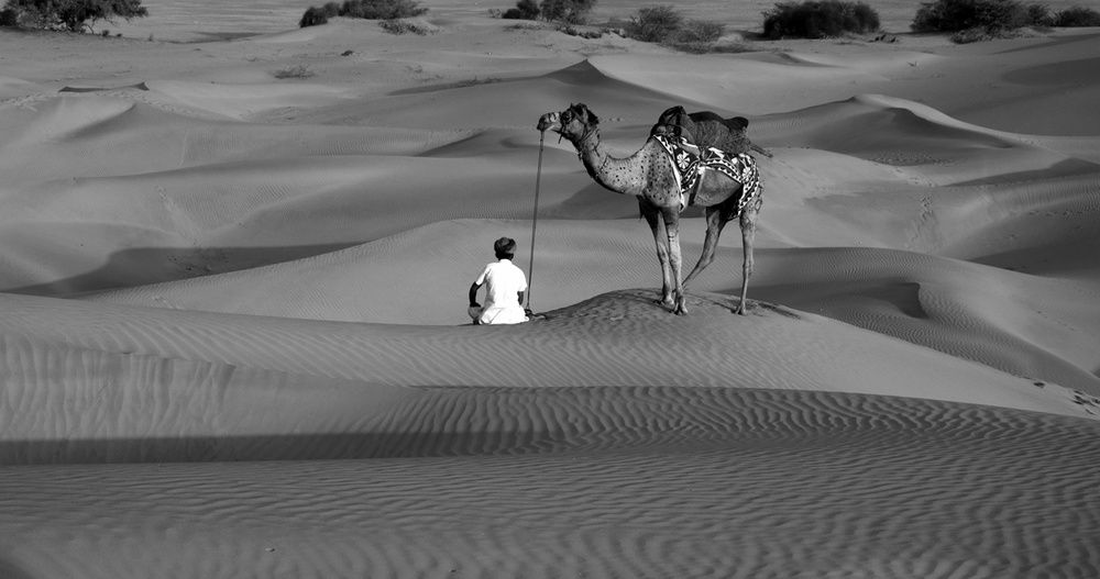 Photograph by Preeti Patel