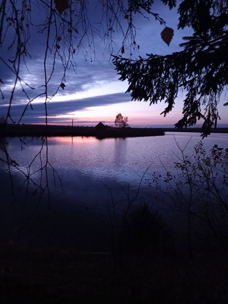 Photograph by Наталія Дронюк