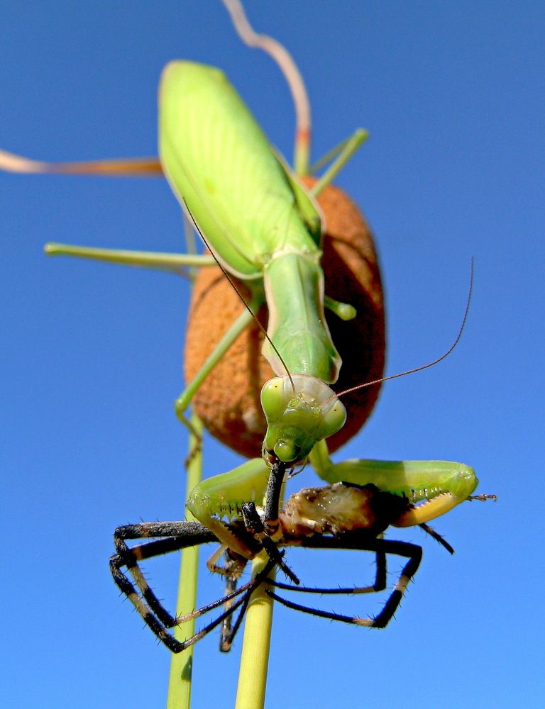 Фотография автора Александр Челмодеев