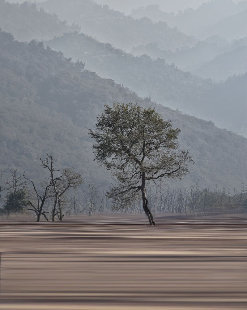 Season of Recovery and Preparation.