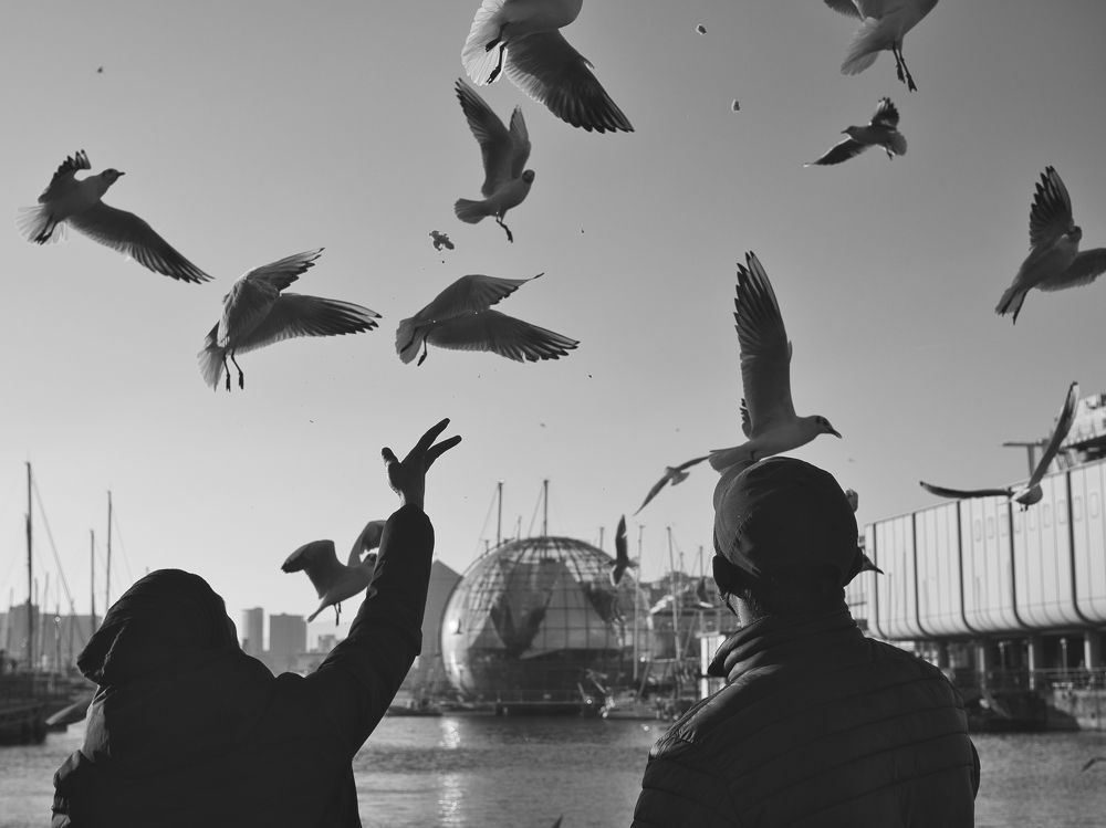 Photograph by Angela Ravaioli