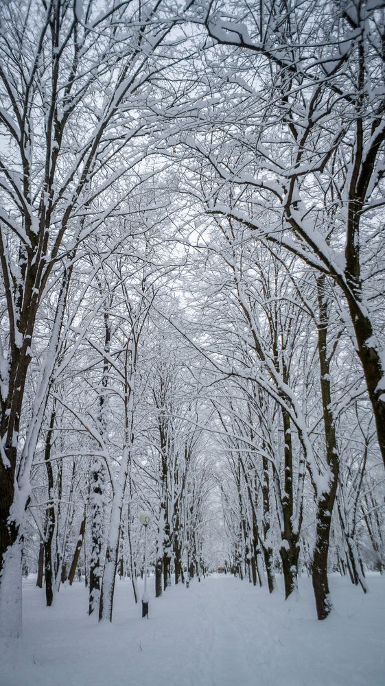 Photograph by Fokin Sergey