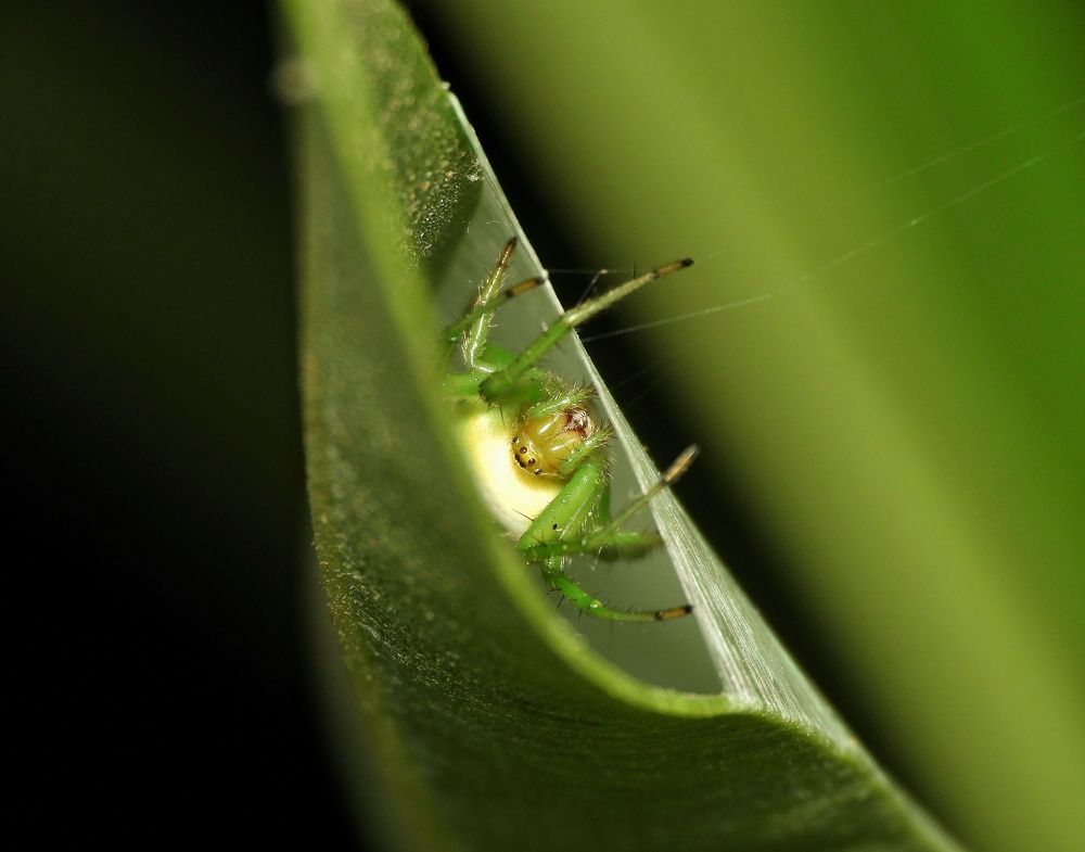 Фотография автора Bharat Ravat